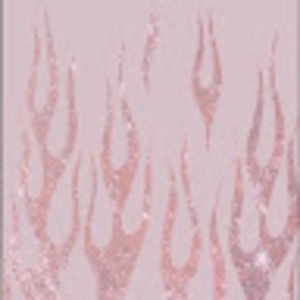 Meet your Posher, Payton